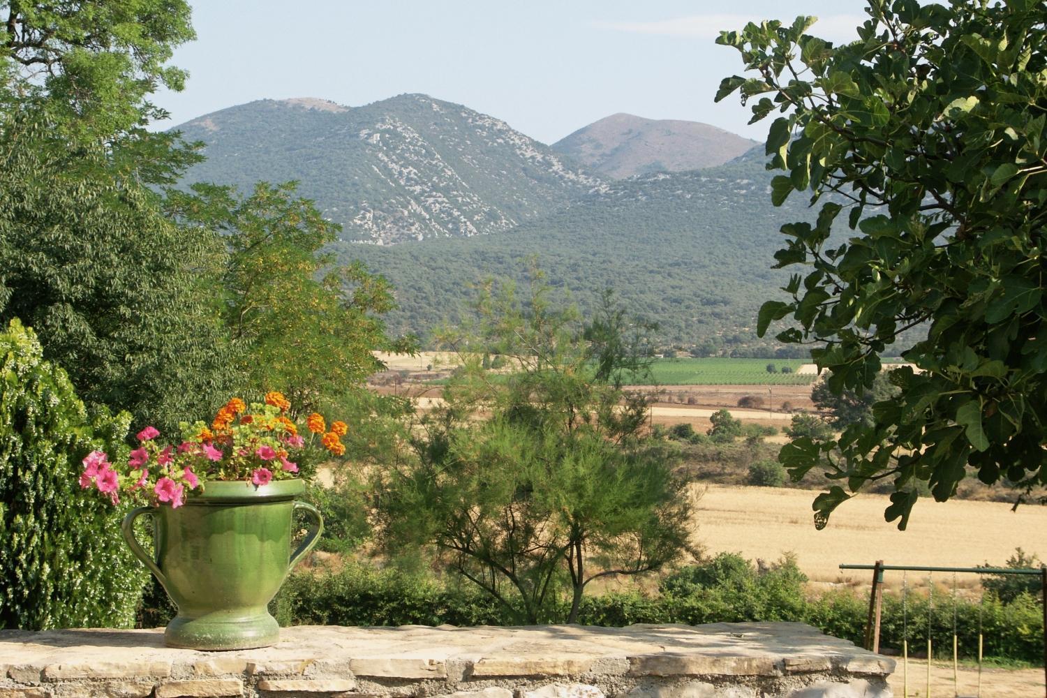 Domaine De Blancardy 호텔 Moulès-et-Baucels 외부 사진